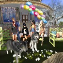 Thumb 56aa88d63f942f029c000001