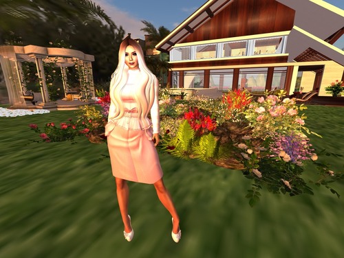 Web 56d1416c9934e06a6c000001