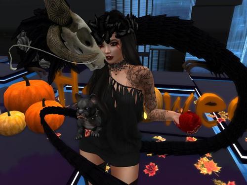 Web 5bda1502289dd22da6000001