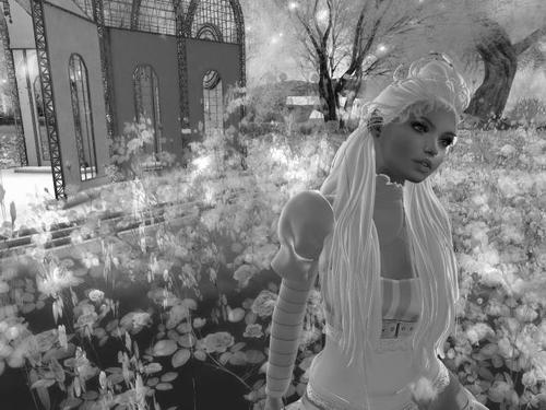 Web 5be87fe6d9859c2300000001