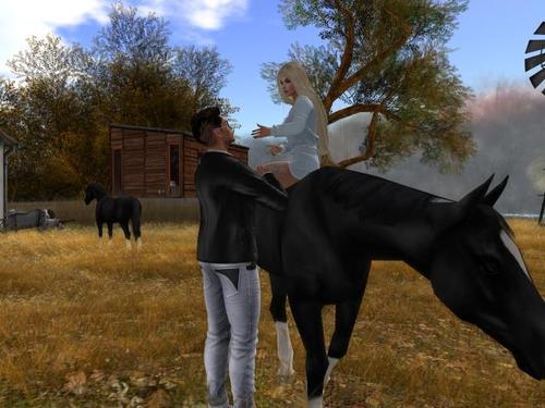 Web 5bfc3f44289dd245e7000001