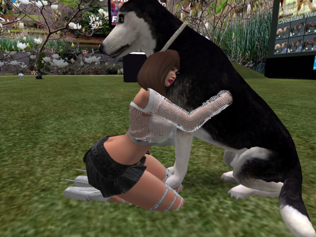 Original 61e700d445b3dc38afa30506