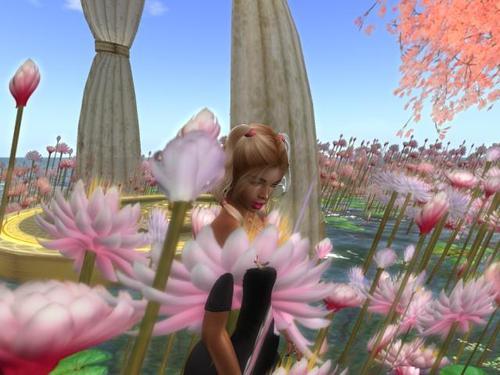 Web 61d596e3cd5e8b444441c029