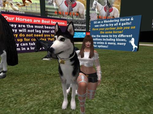 Web 61e7007e59a6042a7688009b