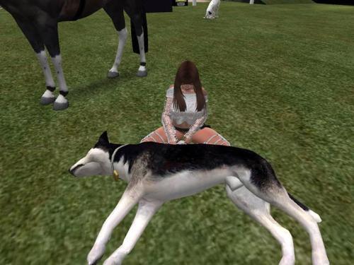 Web 61e700bf45b3dc37d4a30506