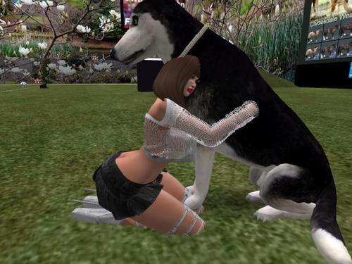 Web 61e700d445b3dc38afa30506