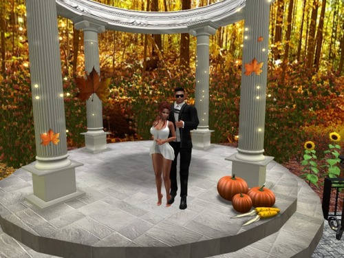 Web 57d85028f8a1ec5cbd000001