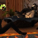 Thumb 563576978da572223c000001