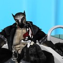 Thumb 564dfb39128cc95cb1000001