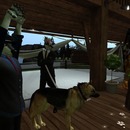 Thumb 57688c4ab015402000000001