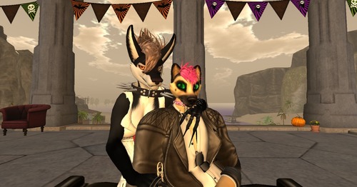 Web 57e83fa4e85cda7cdd000001