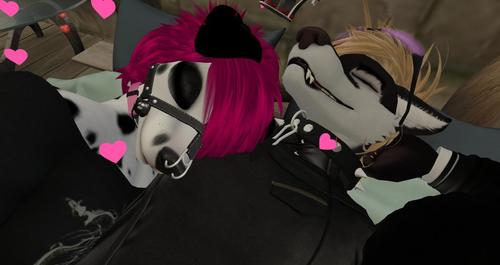 Web 5925dbed73ed17431d000001