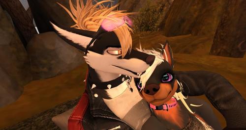 Web 5942e6a973ed177d67000001