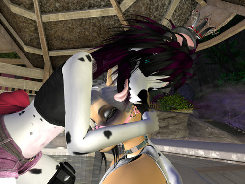 Web 64130057ef94cc41dacb81b8