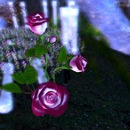 Thumb 56db9489e85cda609e000001