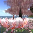 Thumb 59166e11289dd2026d000001