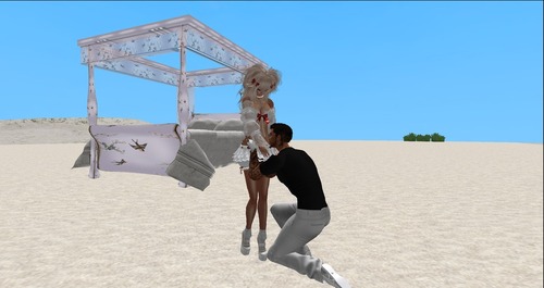 Web 571d3abee85cda7ff3000001