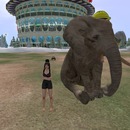 Thumb 58692c89b713f74ee4000001