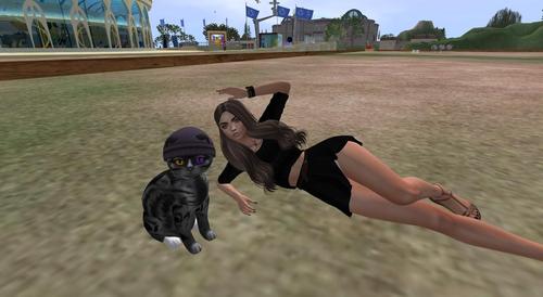 Web 5989e51573ed17467f000001