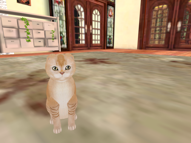 Original 5d81ab79289dd230fe000001