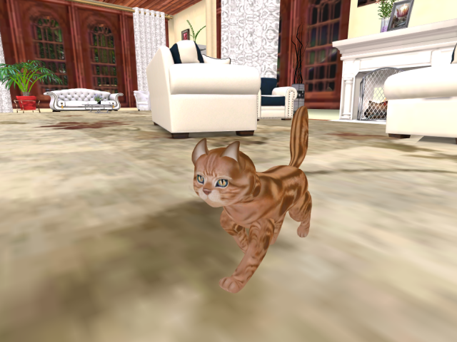 Original 5d81ac0473ed1765e8000001