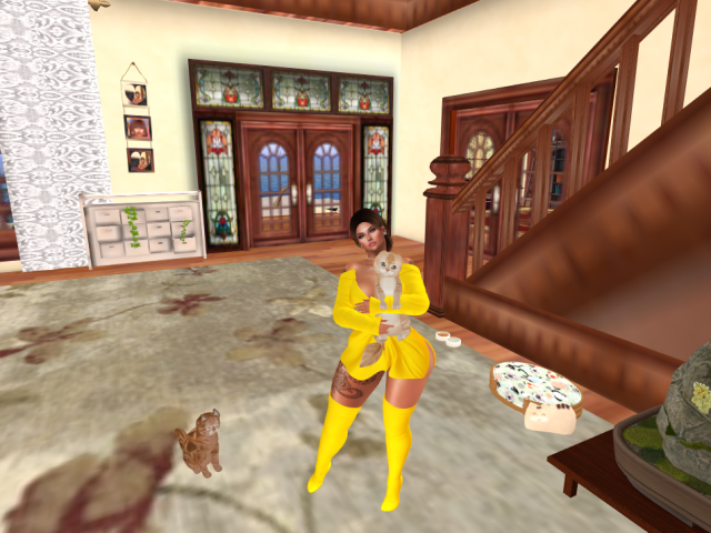 Original 5d850073289dd256bd000001