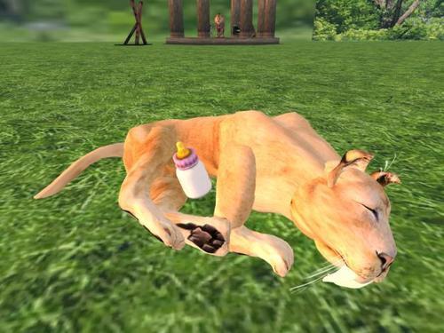 Web 5ef9df2fd9859c61d9950663