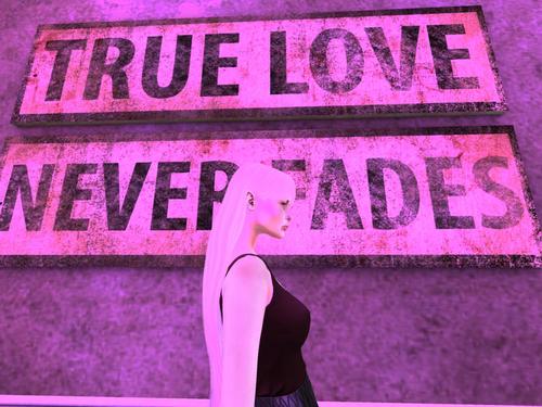 Web 5b54f89fd774f843cd000001