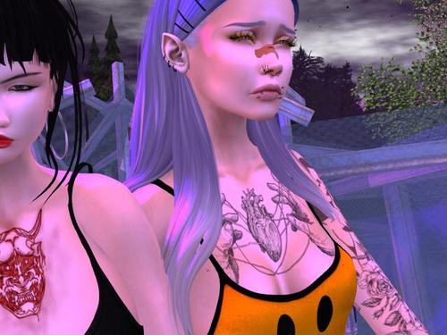 Web 5baaafdf289dd238d4000001