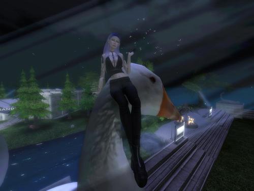 Web 5bace50473ed172024000001