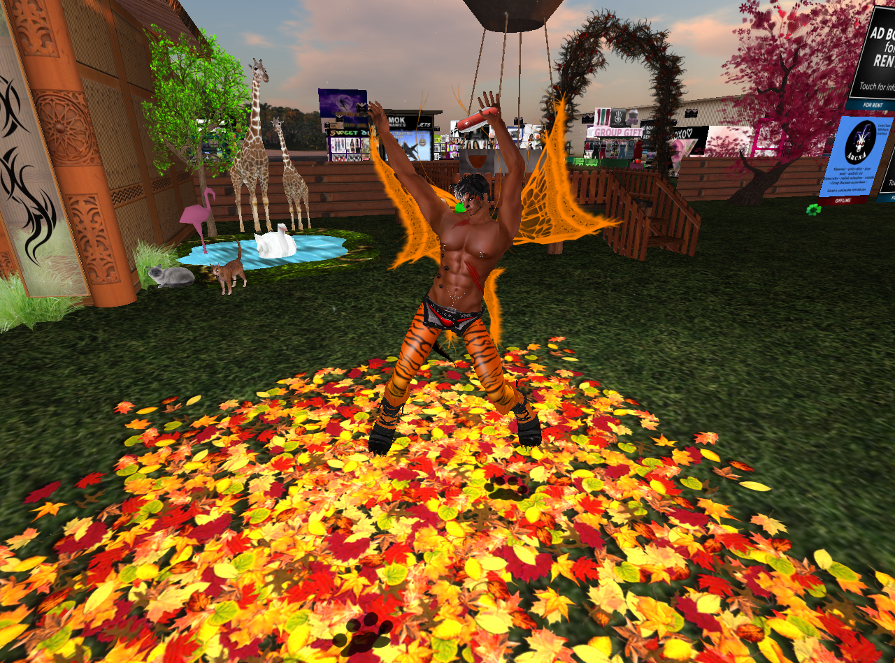 Original 57da6428b713f70dc9000001