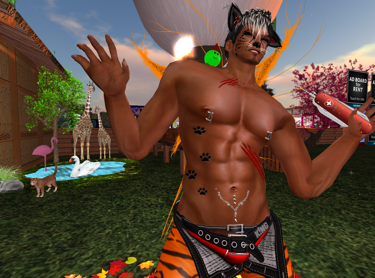 Original 57da64c1f8a1ec7288000001