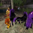 Thumb 57d5a40cb015405fa0000001