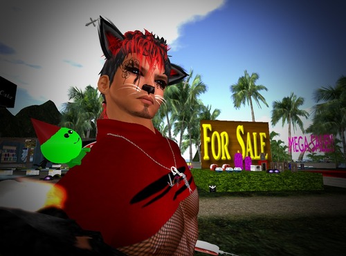 Web 57cf37bdf8a1ec2be5000001