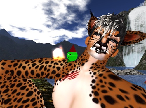 Web 57cffb0fb713f7024a000001