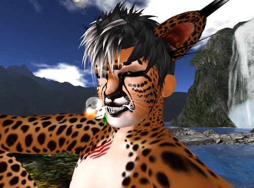 Web 57cffb11e85cda4e7d000001