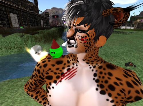 Web 57d01a58e85cda6218000001