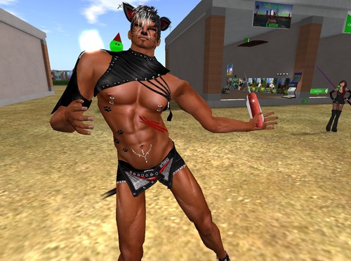 Web 57d0c31bb713f716bd000001