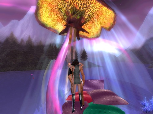 Web 57d18bb8f8a1ec50a3000001