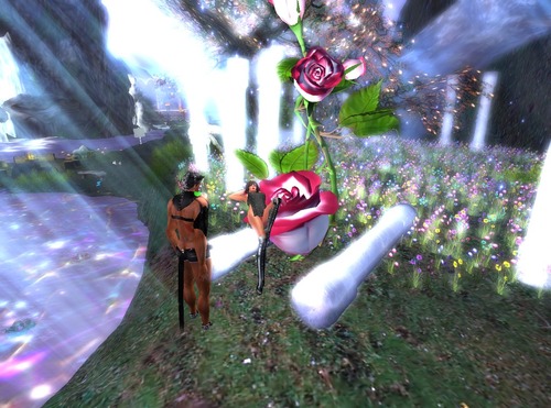 Web 57d1912ce85cda10fe000001