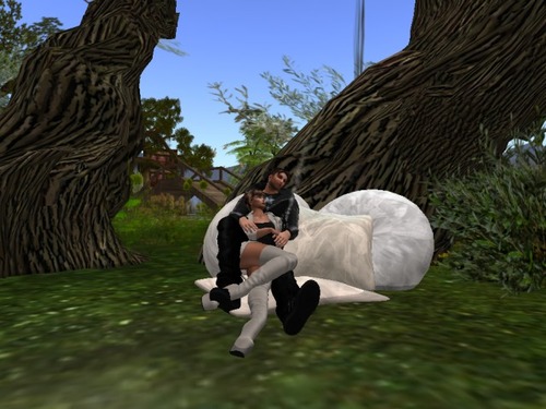 Web 586d0469b713f715e2000001