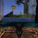 Thumb 5eb4f3a973ed17507ff3fecf