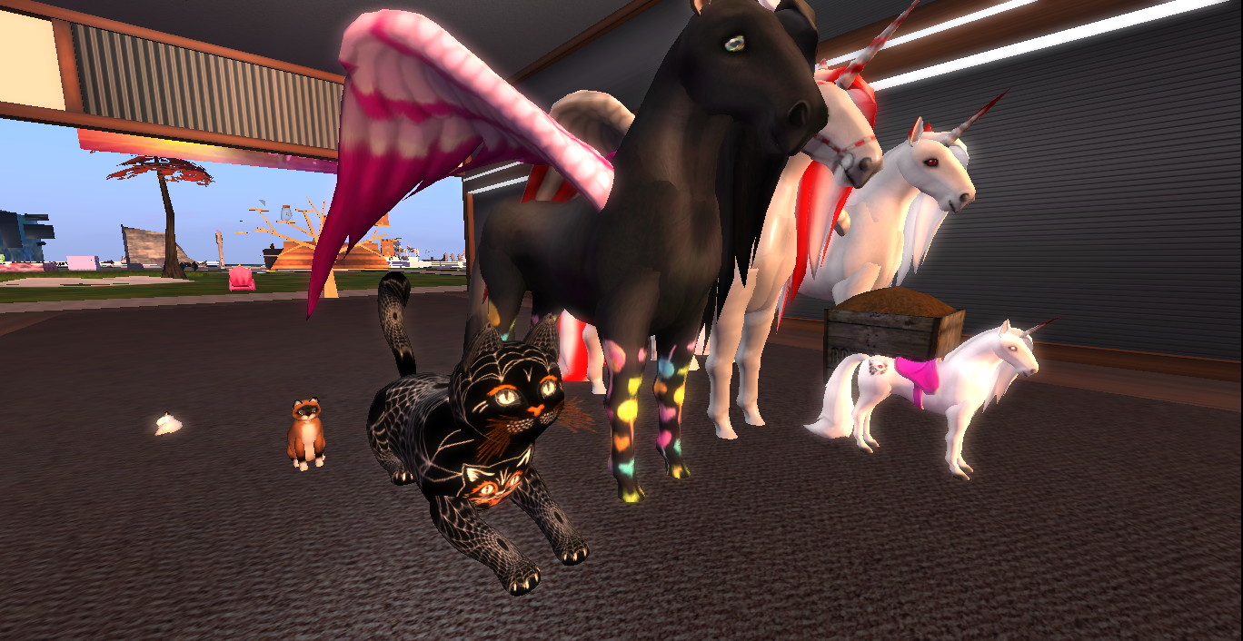 Original 5c481b56d774f84772000001