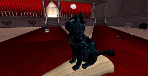 Web 5c15c5d4d9859c5cbb000001