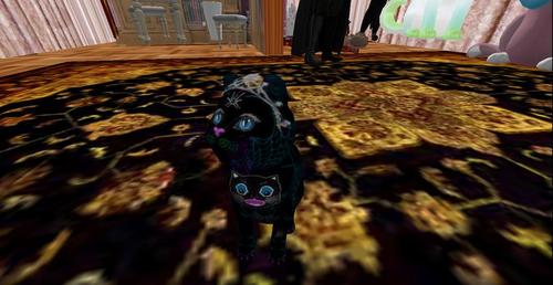 Web 5c257f9ed774f8796d000001