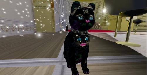 Web 5c313958289dd26b10000001