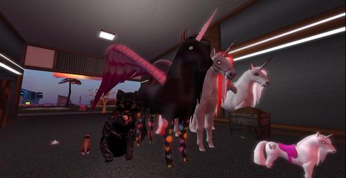 Web 5c481874d774f832c3000001