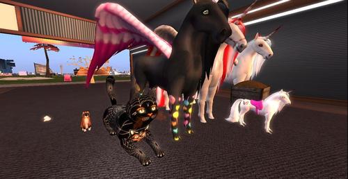 Web 5c481b56d774f84772000001