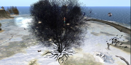 Web 55c7f1aba73e2175c7000001