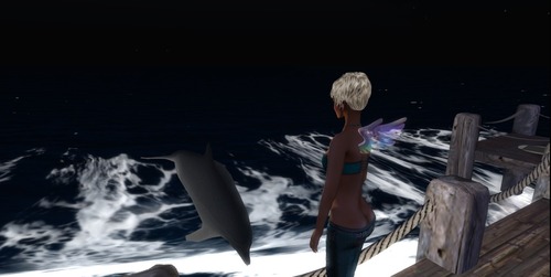 Web 55c92a07a73e216e71000001